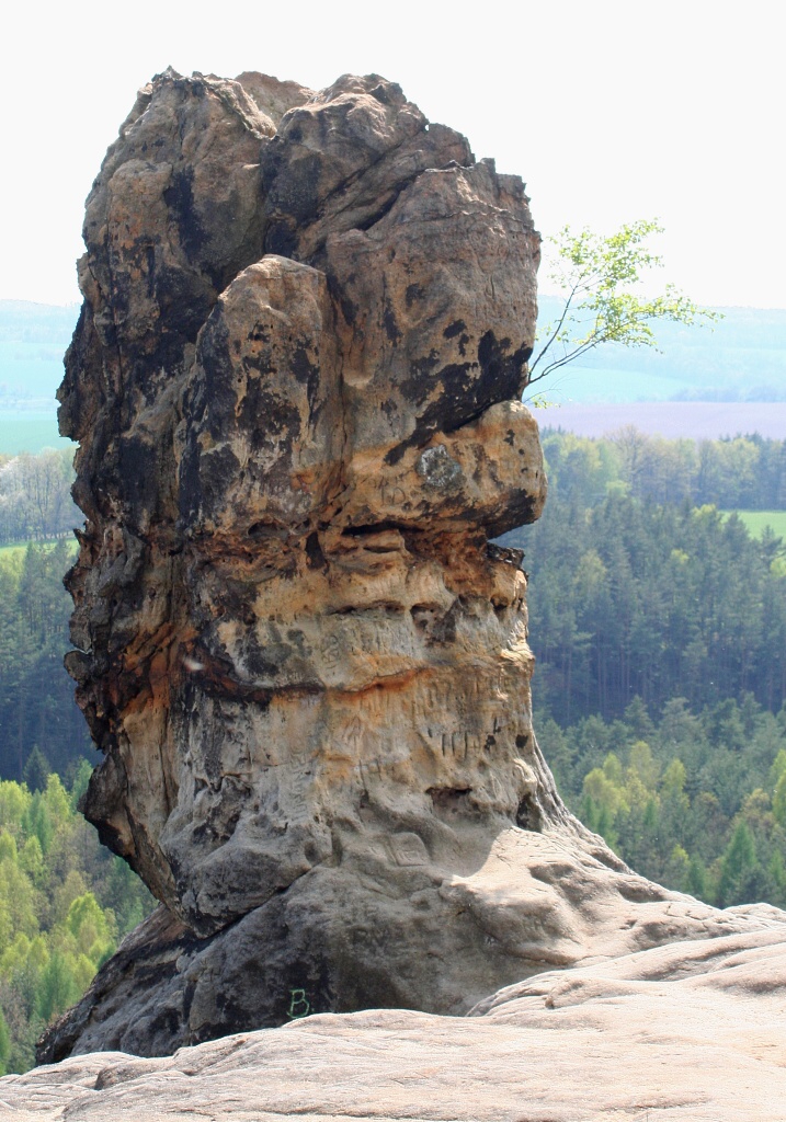 Hus okruh na Kokonsku - Horydoly.cz 