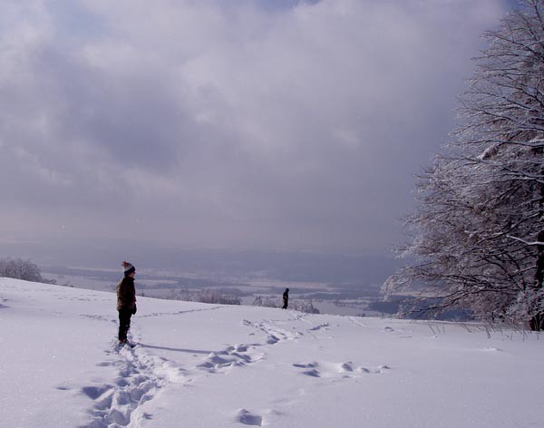 Kozkov a okol Ralska