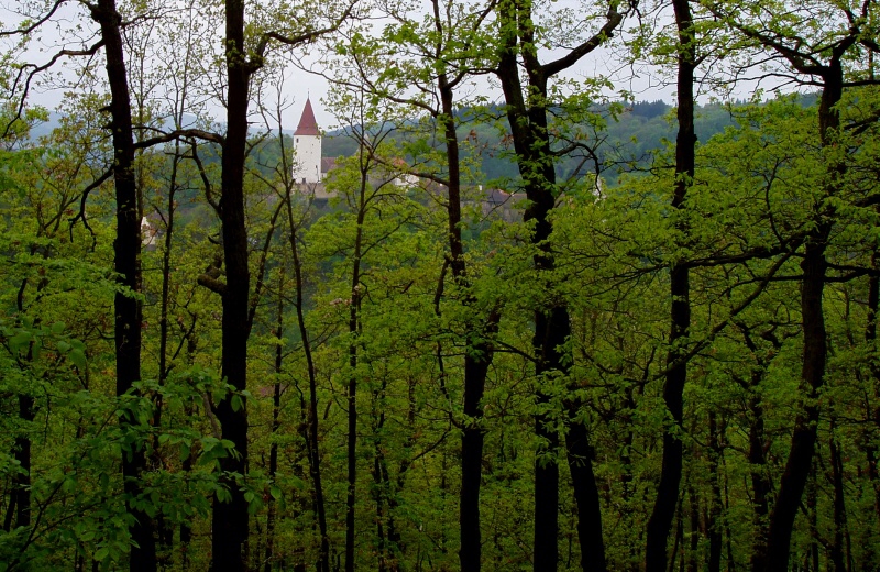 Rekrean naun arel Kivoklt - Horydoly.cz 