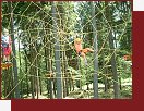 Monkey Park pindlerv Mln 
