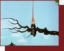Krteek ve slubch lobby propagujc bungee jumping