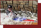 Jez Rechle otevr vodkm vjezd do eskho Krumlova