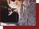 Kufstein, Kletterskulptur