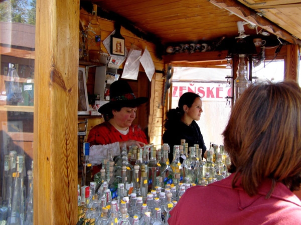 Lys nad Labem. K 2007.