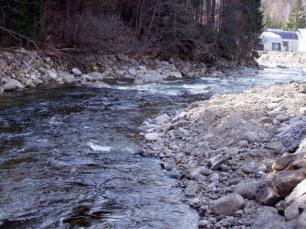 Labe 2007