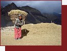 Ladakh a Zanskar