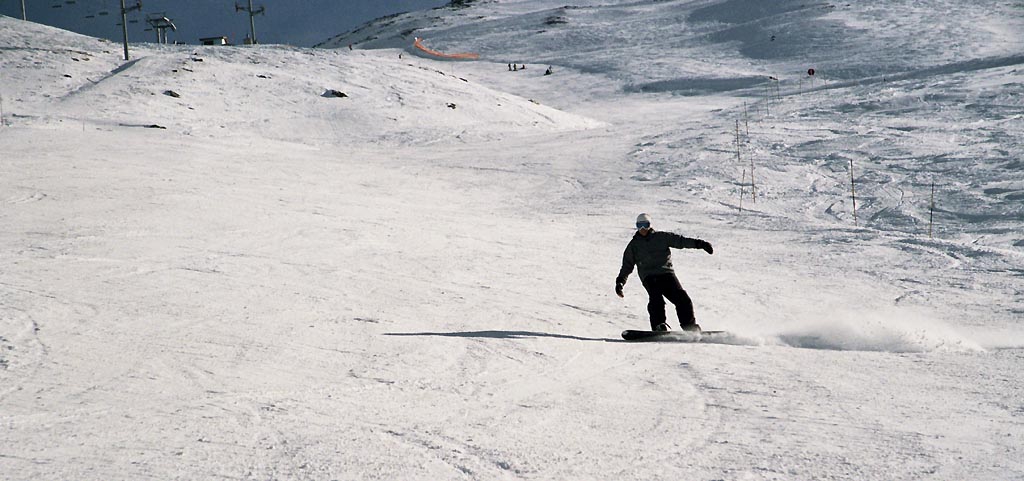 La Norma