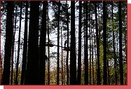 Lanov park Abyss Praha Hostiva 