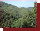 Laos, divok proda