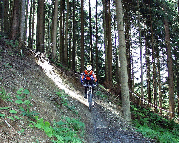 Bikepark Leogang, Rakousko