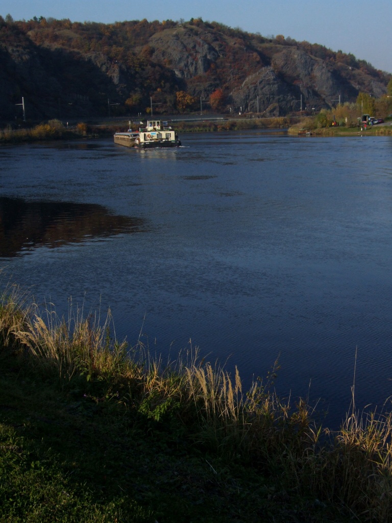 Lev Hradec na kole - Horydoly.cz 