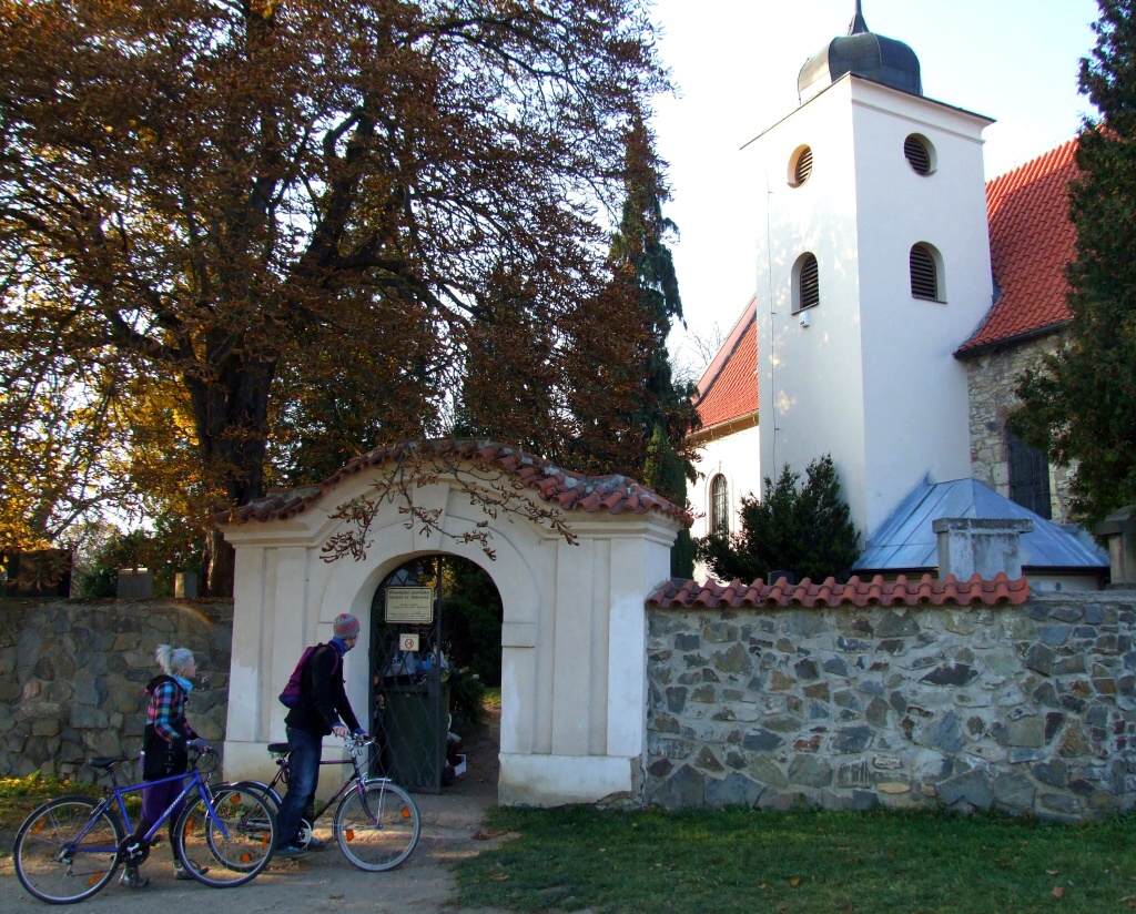 Lev Hradec na kole - Horydoly.cz 