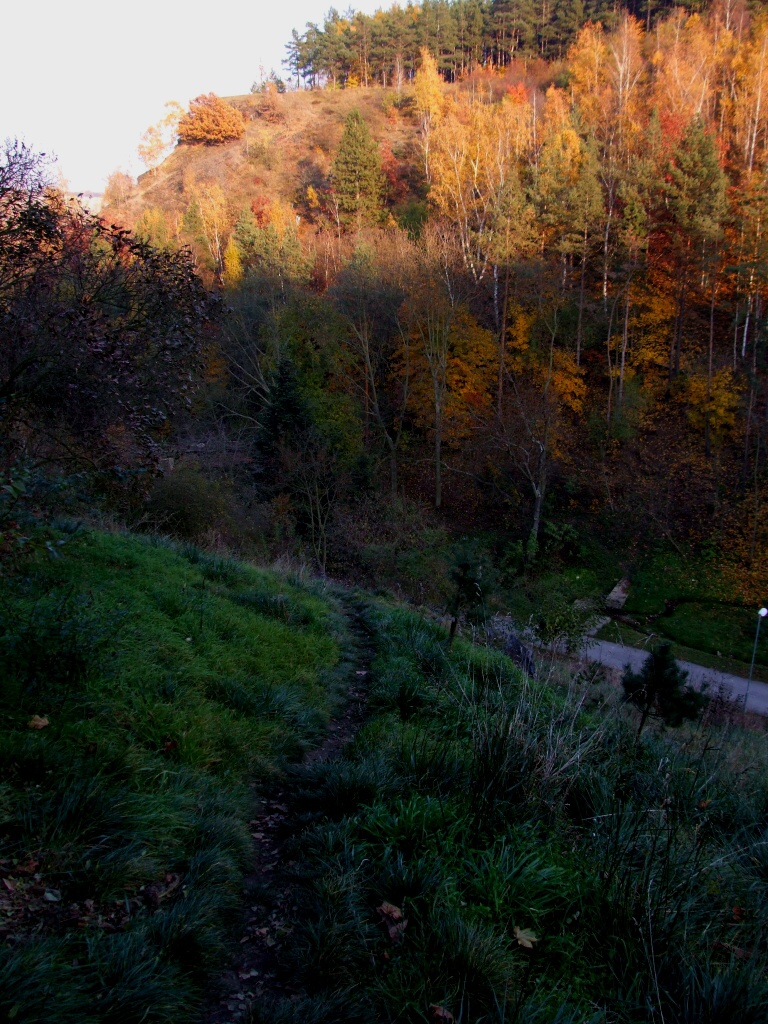 Lev Hradec na kole - Horydoly.cz 