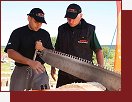 Lipno, timbersports
