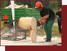 Lipno, timbersports