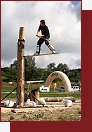 Lipno, timbersports