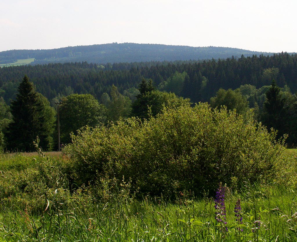 esk les, Lohhuser
