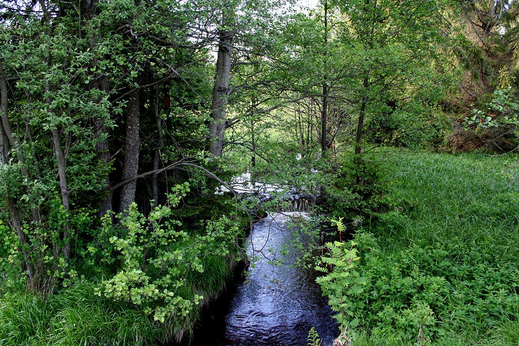 esk les, Lohhuser