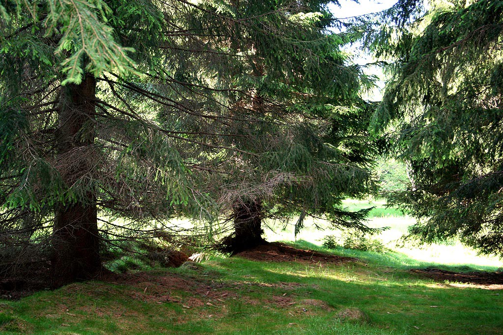 Český les, Lohhäuser