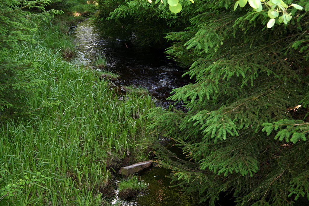 esk les, Lohhuser