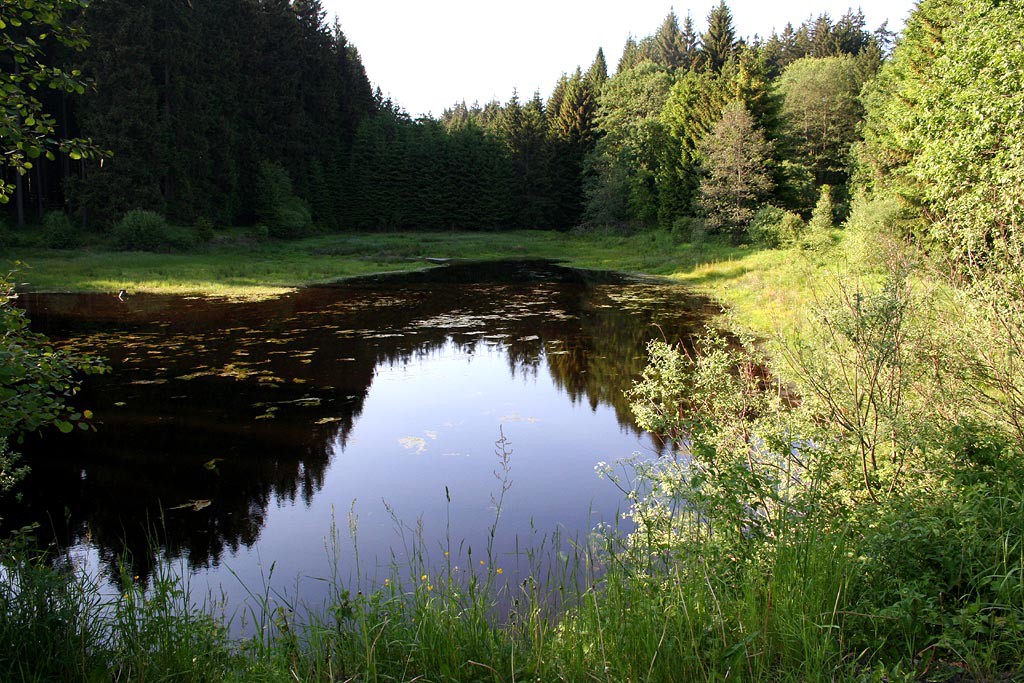 esk les, Lohhuser