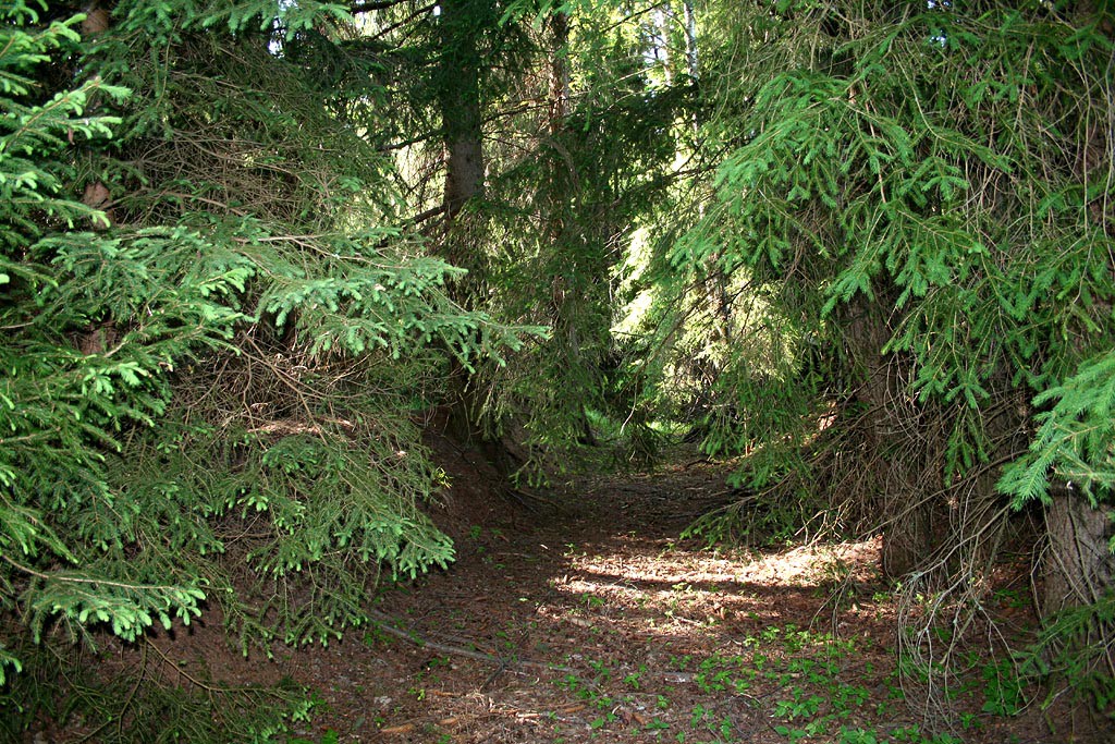 esk les, Lohhuser