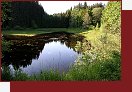 Lohhuser, rybnk k napjen mlna