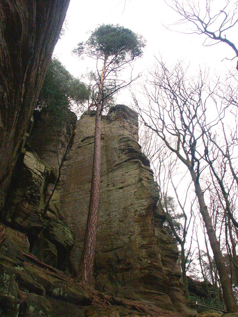Berdorf, climbing rock - Horydoly.cz 