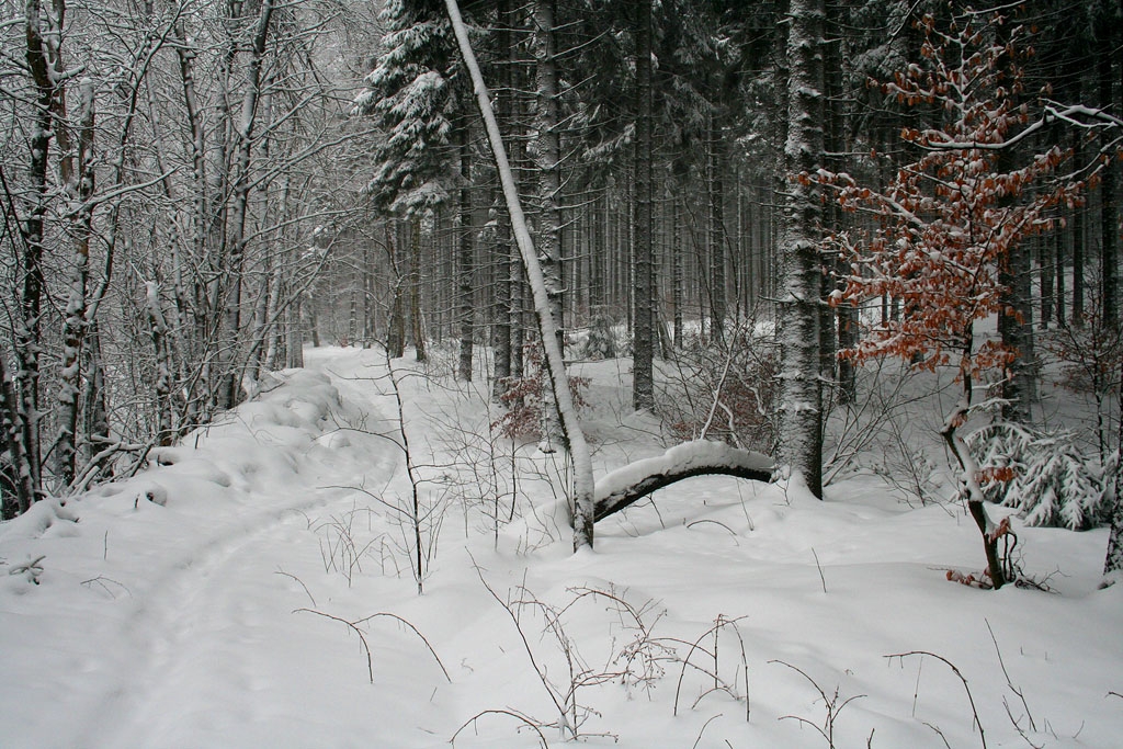 Lyask vstup z Doln Svtl pes Falkenstein na Lu