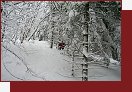 Lu, sjezd jihovchodnm bom