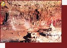 Marzv dm
