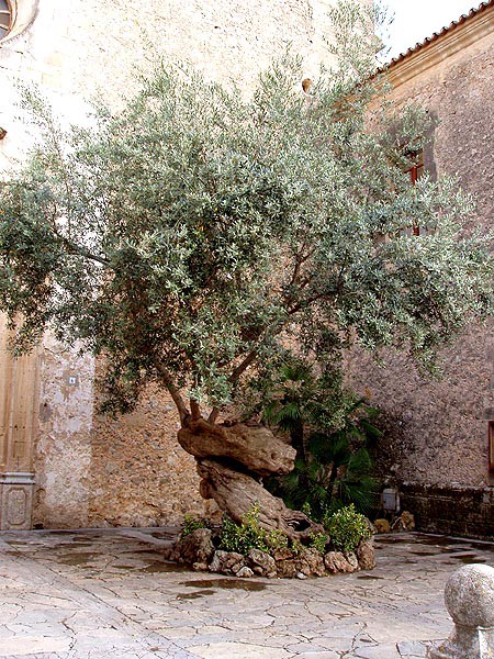 Mallorca, turistick zajmavosti