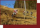 Marosana 2007