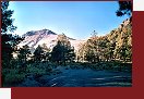 Malinche