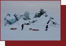 Prostednictvm autentickch zbr doplnnch vyprvnm chceme divky zavst do krlovstv lednch medvd a pokusit se jim piblit nae mal vtzstv i prohry na cest za splnnm jednoho velkho snu ... 