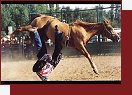Americk rodeo pod eskou vlajkou. Divoc kon, nezkrotn bci.