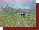 Clem cykloexpedice Kavkaz 2007 je pejet na kole kavkazskou Gruzii a zerbjdn. Na cest od ernho ke Kaspickmu moi mus zdolat prsmyky Malho a Velkho Kavkazu a tak vrtochy poas. Ve vesnici Kazbegi na pr dn odlo kola a pokus se vystoupit na nejvy vrchol Gruzie  Kazbeg. Vudy stetvaj lil a pohostinn lidi, kte jim s hrdost povdaj o sv prod, historii a kultue.