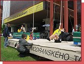 Modansk Tarzan 2009 