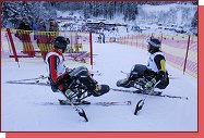 Monoski 