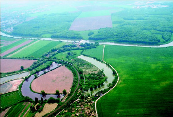 eka Morava