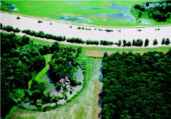 eka Morava