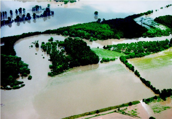 eka Morava