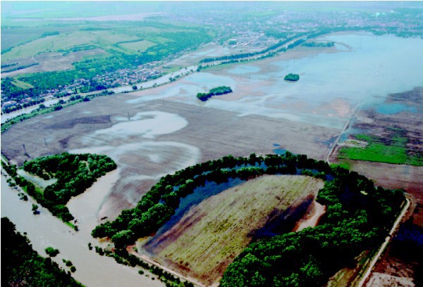 eka Morava