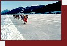 Nassfeld, bruslask maraton na Weissensee
