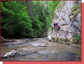 Nvraty k divoin. Slovensk rj 