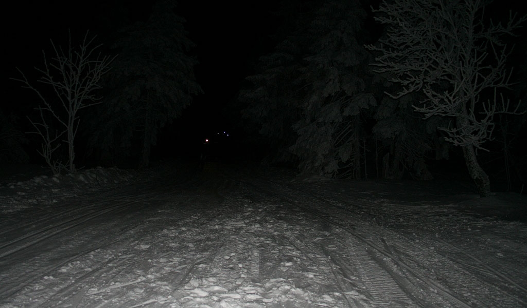 Noc tulench ps 2008 - Jansk Lzn