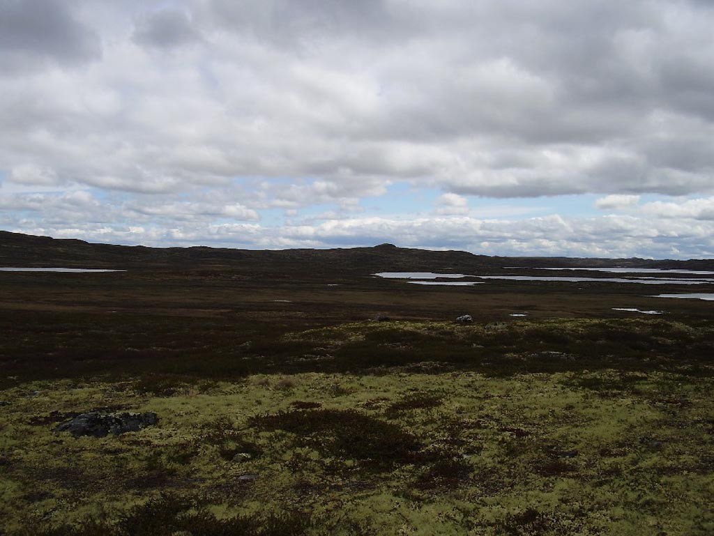 Norsko, Hardangervidda