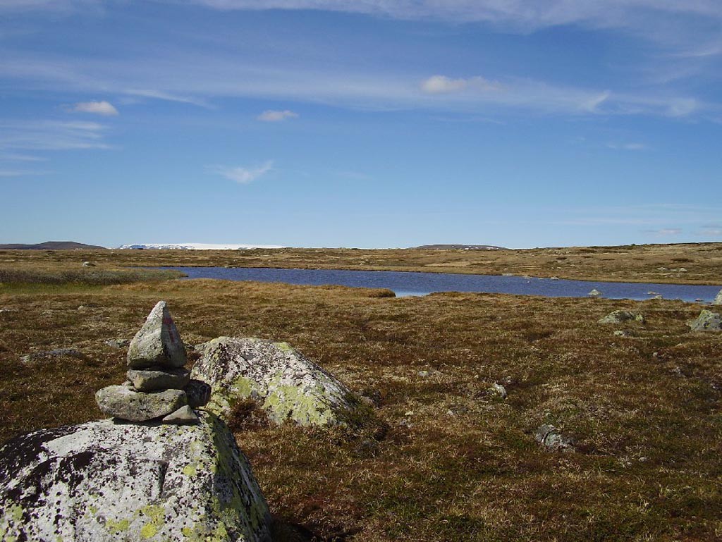 Norsko, Hardangervidda