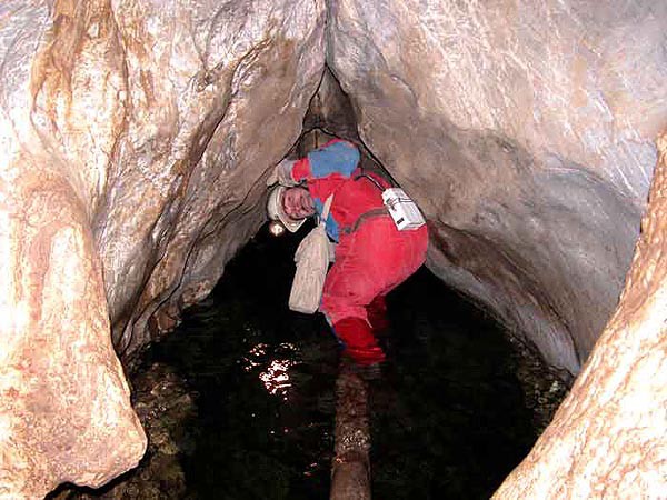 Moravsk kras, Nov Rasovna, objevy 2003