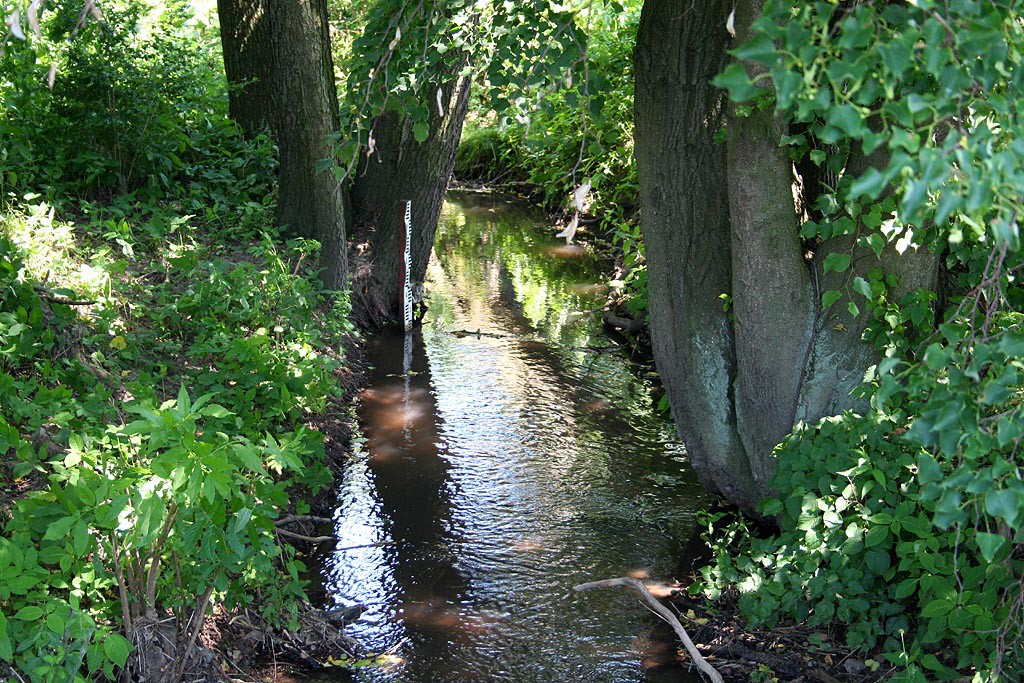 Novozmeck rybnk